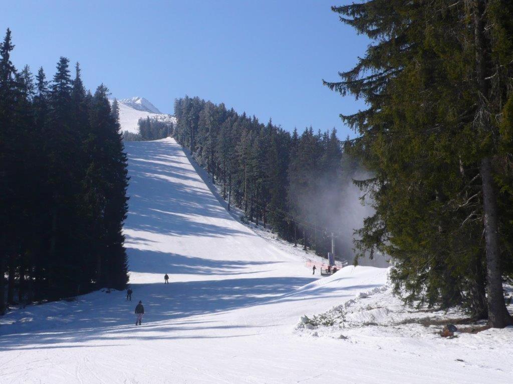 Chalet White Fang Bansko Exterior foto